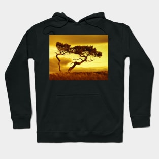 Tree Dance (Sepia) Hoodie